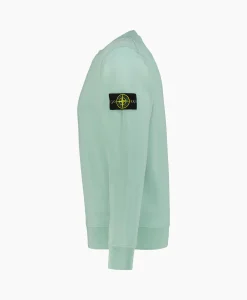 Best Sweater 63051 Licht Groen Heren Truien